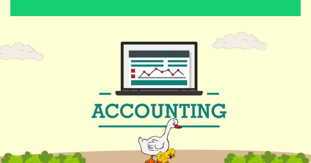 how to make money from ducks (4)