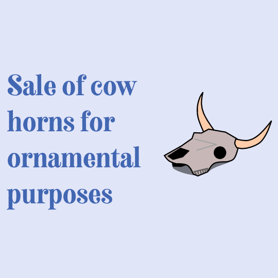 How to make money from raising cattle (8)