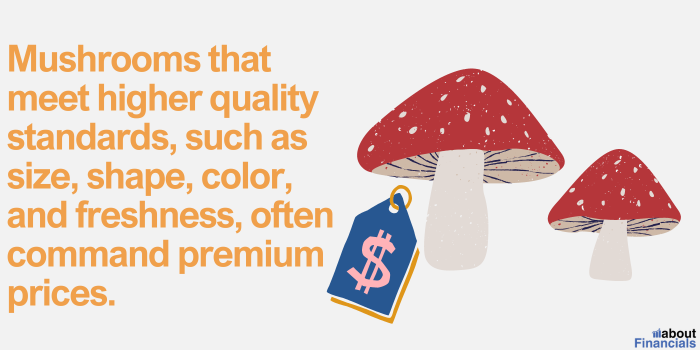 mushroom profit calculation (3)