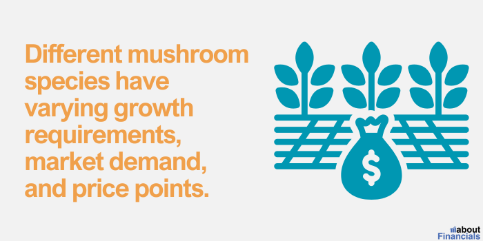 mushroom profit calculation (4)