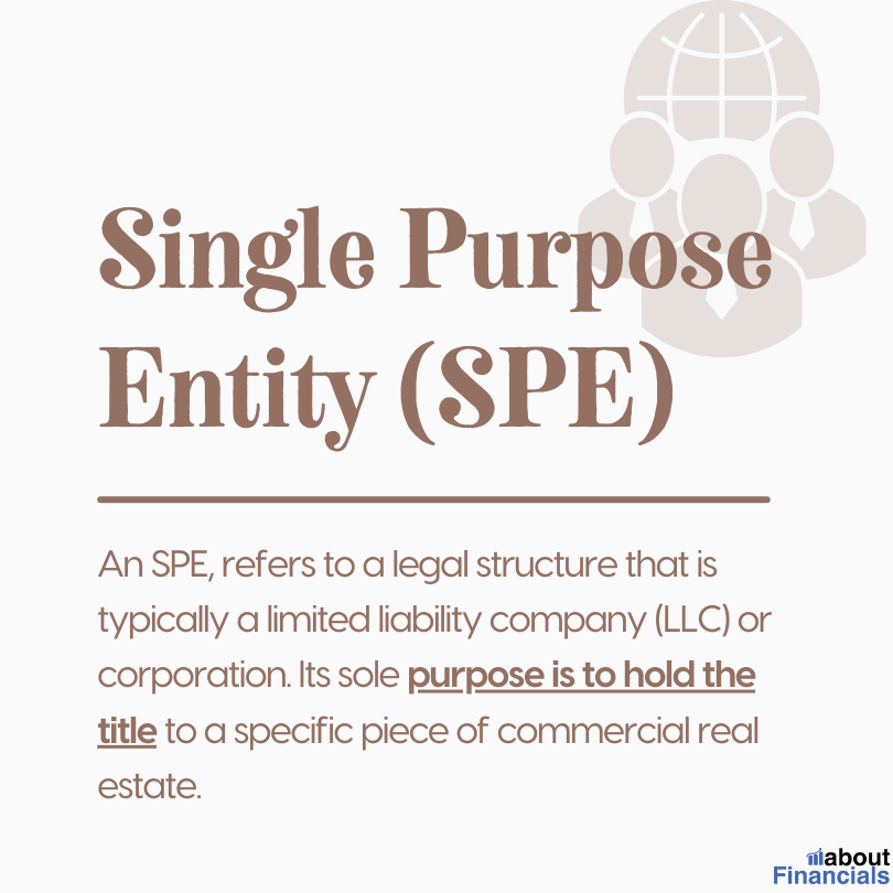 what is a single purpose entity (4)