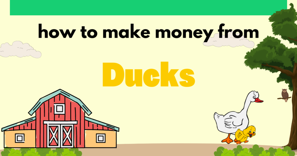 how to make money from ducks