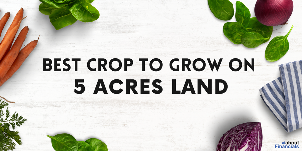 best crop to grow on 5 acres (2)