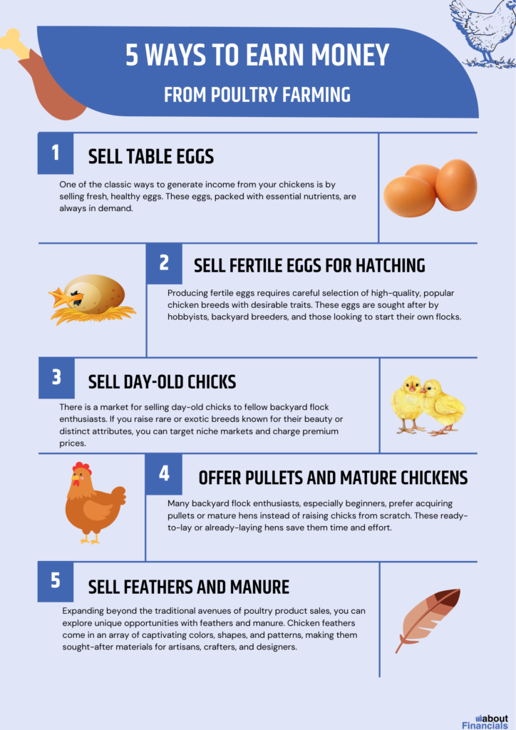 making money from poultry farming (6)