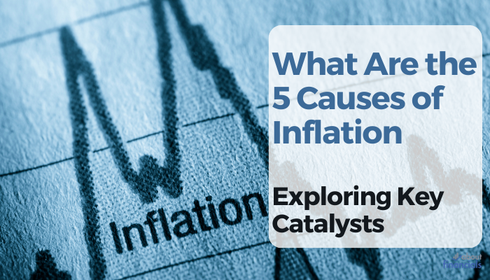 what are the 5 causes of inflation (6)